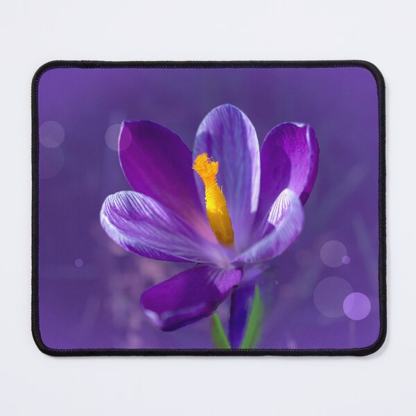 Item preview, Purple Crocus designed and sold by Alisonchambers2.