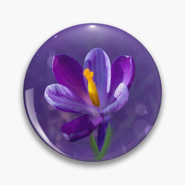Item preview, Purple Crocus designed and sold by Alisonchambers2.