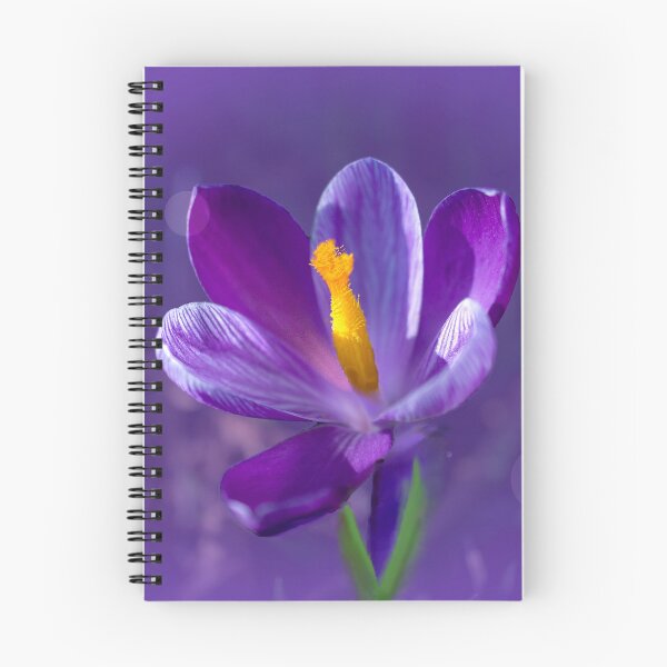 Item preview, Purple Crocus designed and sold by Alisonchambers2.