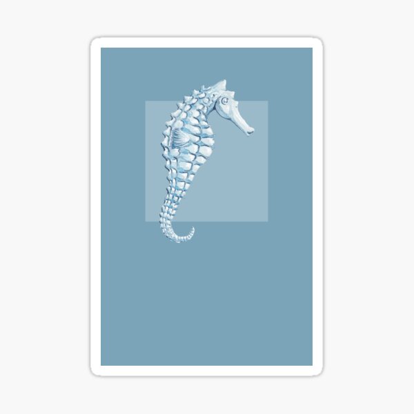 Seahorse in mid blue rectangle Sticker