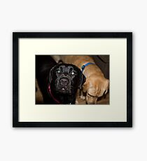 Jake Framed Print
