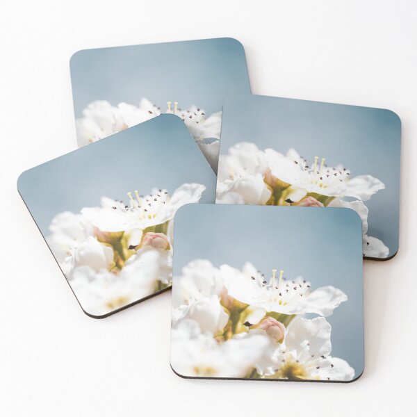 Item preview, White Cherry Blossom designed and sold by Brenton Bessell.