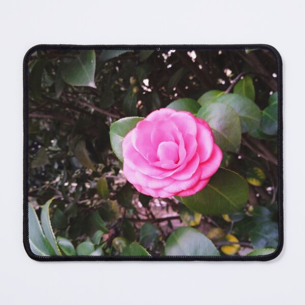 Item preview, Rose designed and sold by Italynature.