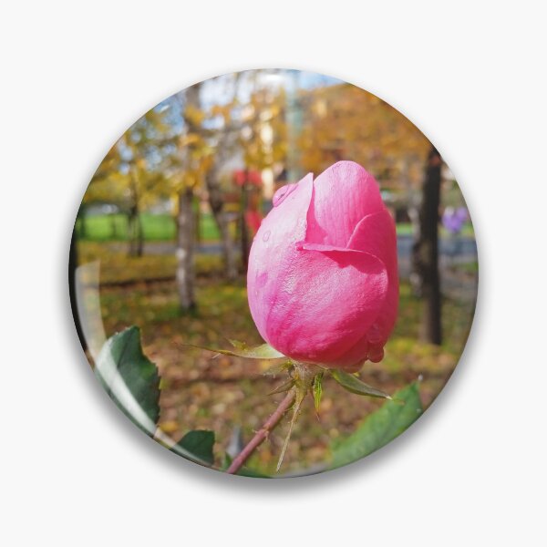 Item preview, Rose designed and sold by Italynature.