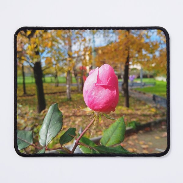 Item preview, Rose designed and sold by Italynature.