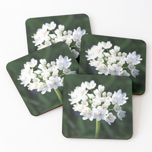 Item preview, Daffodil Garlic designed and sold by pinkal.