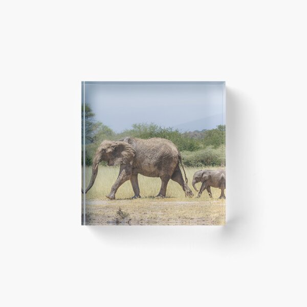 Item preview, Mom's On Patrol designed and sold by Owed To Nature.