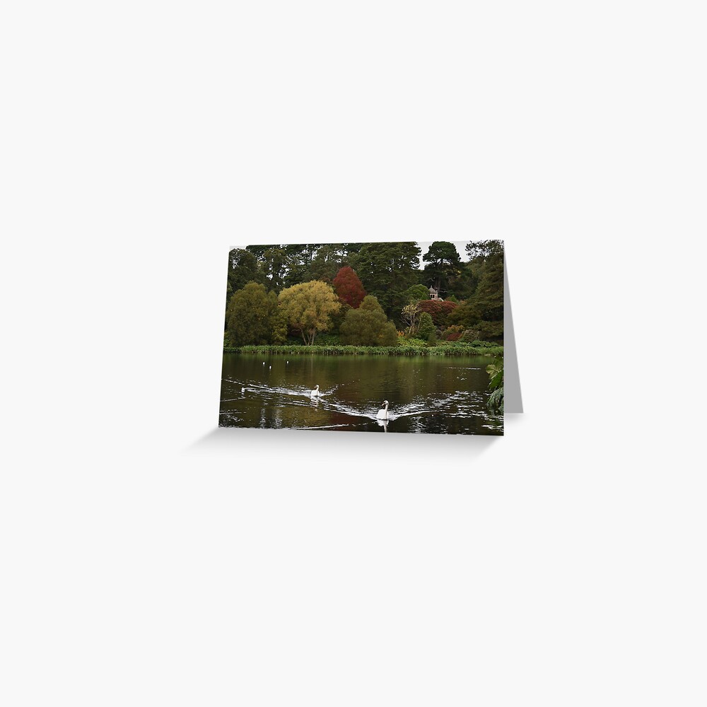 Item preview, Greeting Card designed and sold by Armstrong-photo.
