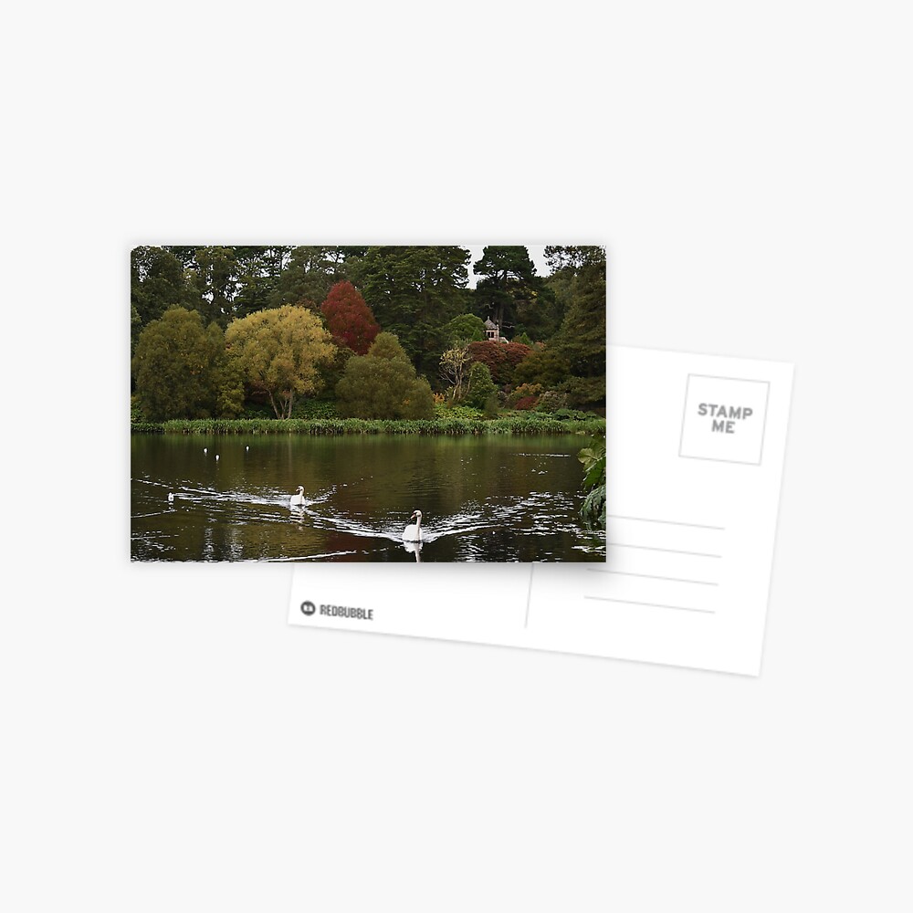 Item preview, Postcard designed and sold by Armstrong-photo.