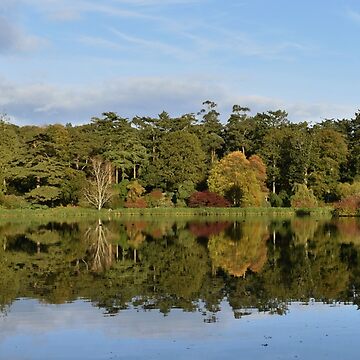 Artwork thumbnail, Autumn Lake by Armstrong-photo
