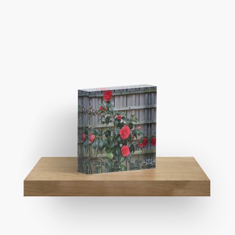 Item preview, Acrylic Block designed and sold by Armstrong-photo.