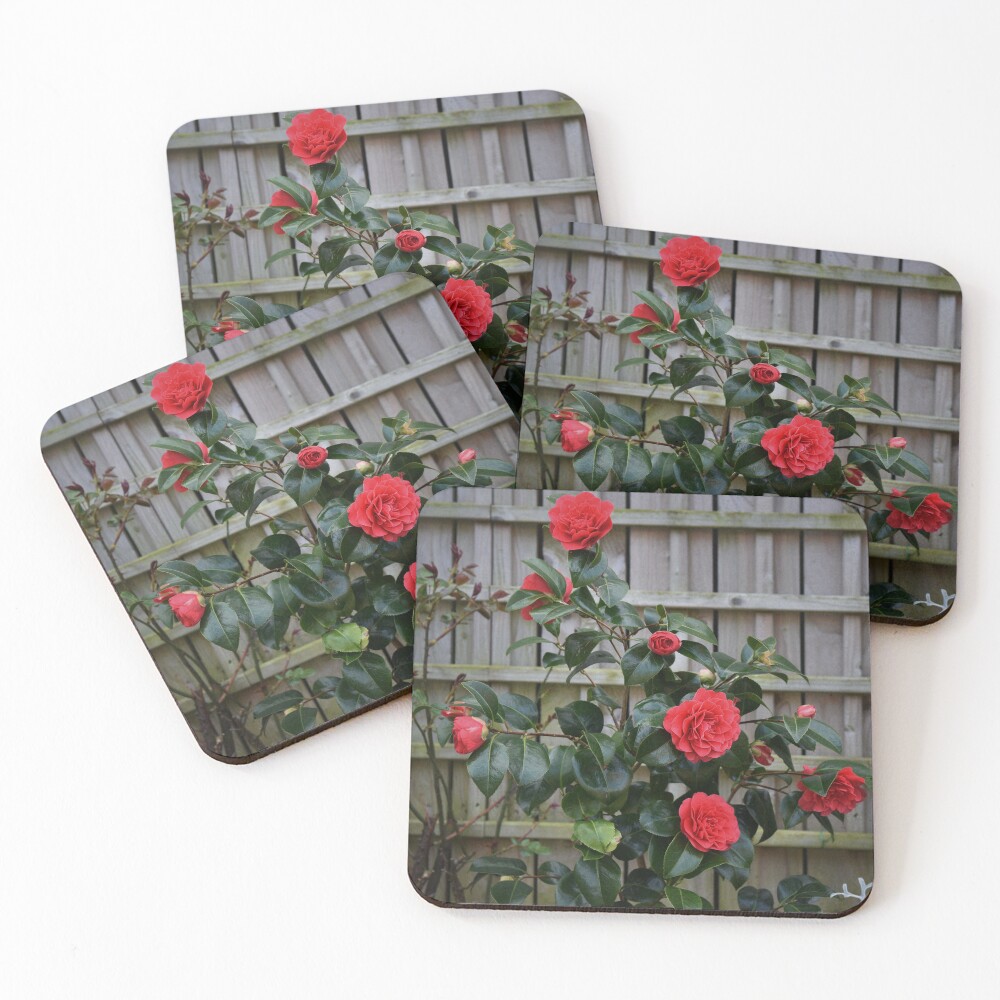 Item preview, Coasters (Set of 4) designed and sold by Armstrong-photo.
