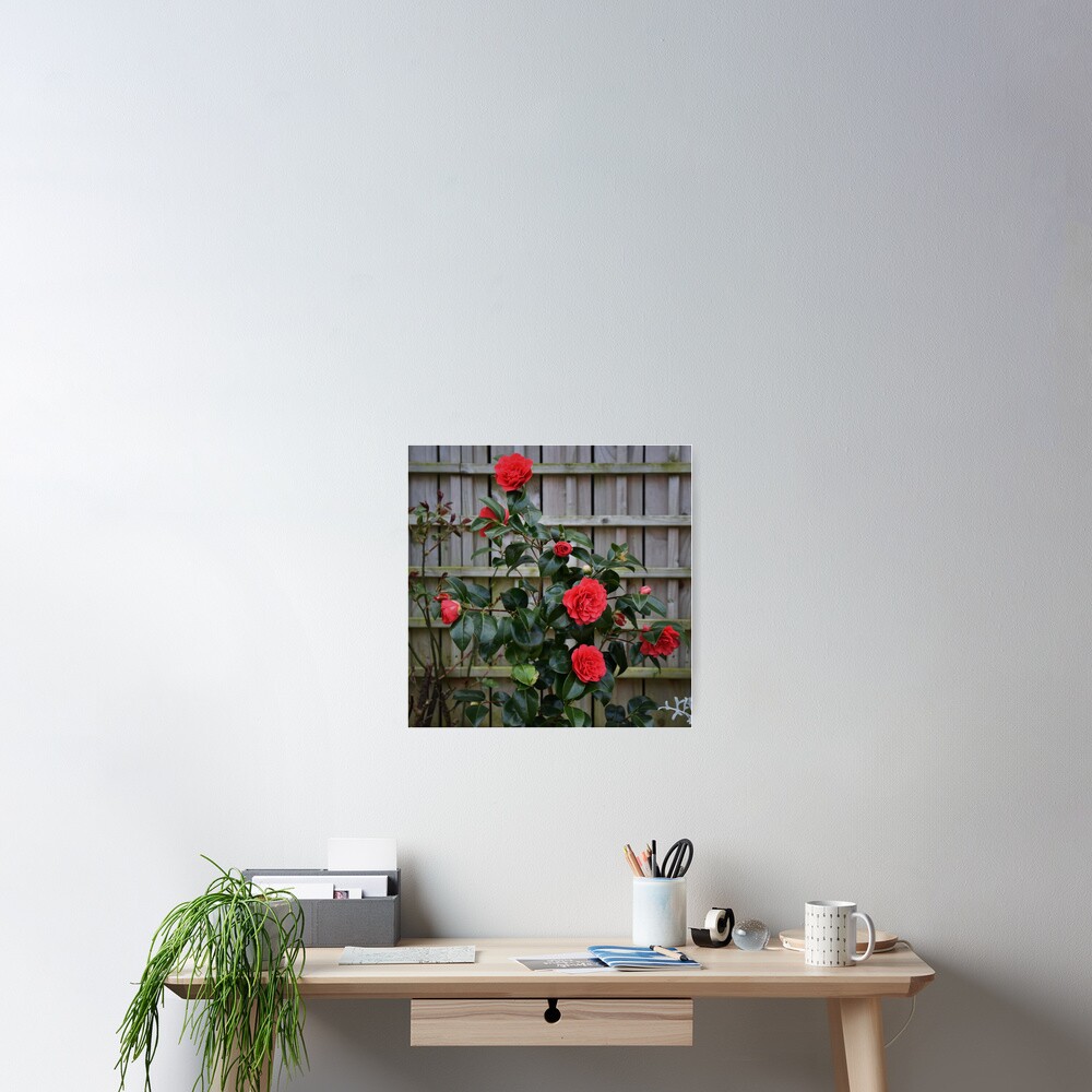Item preview, Poster designed and sold by Armstrong-photo.