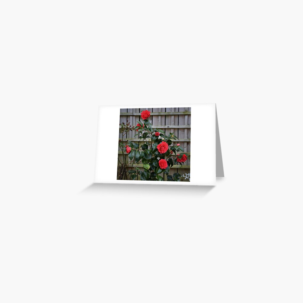 Item preview, Greeting Card designed and sold by Armstrong-photo.