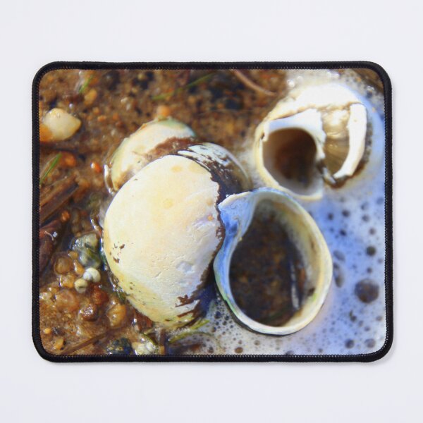 Item preview, A wash up designed and sold by Judy Miller.