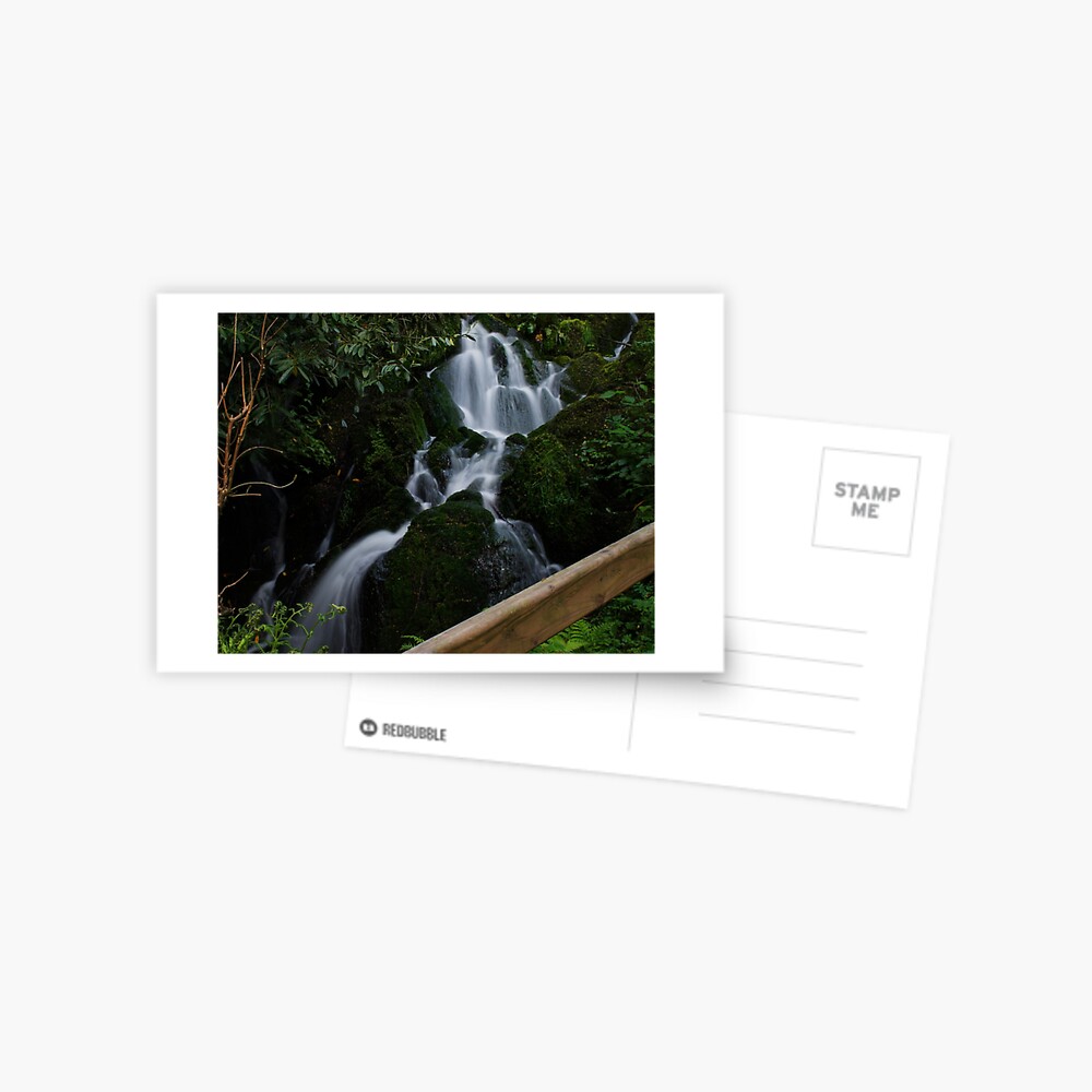 Item preview, Postcard designed and sold by Armstrong-photo.