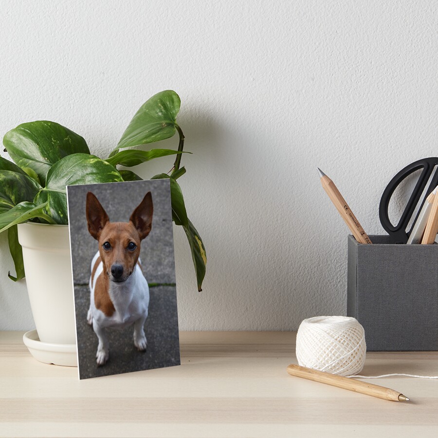 Item preview, Art Board Print designed and sold by Armstrong-photo.