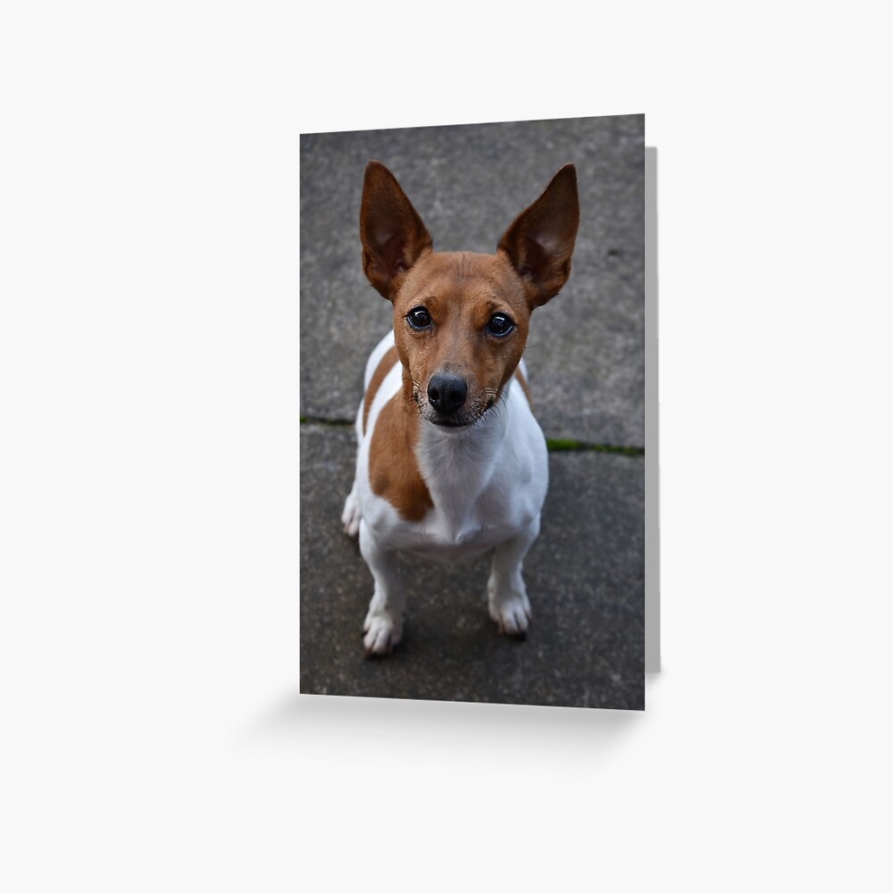 Item preview, Greeting Card designed and sold by Armstrong-photo.