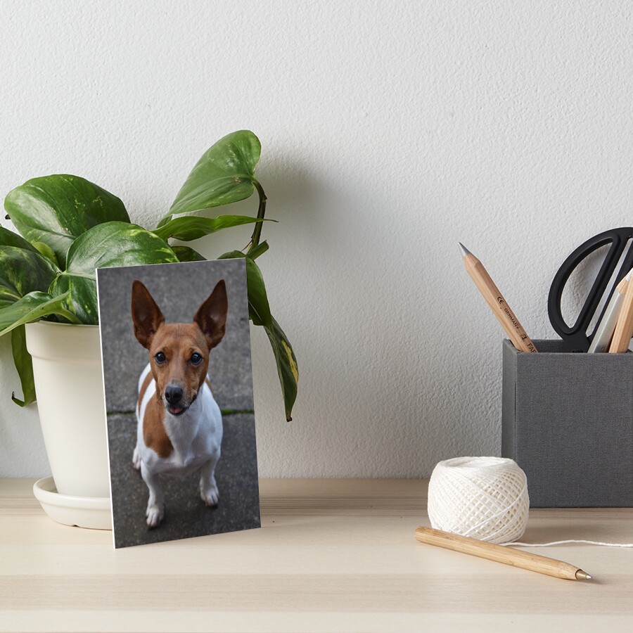 Item preview, Art Board Print designed and sold by Armstrong-photo.