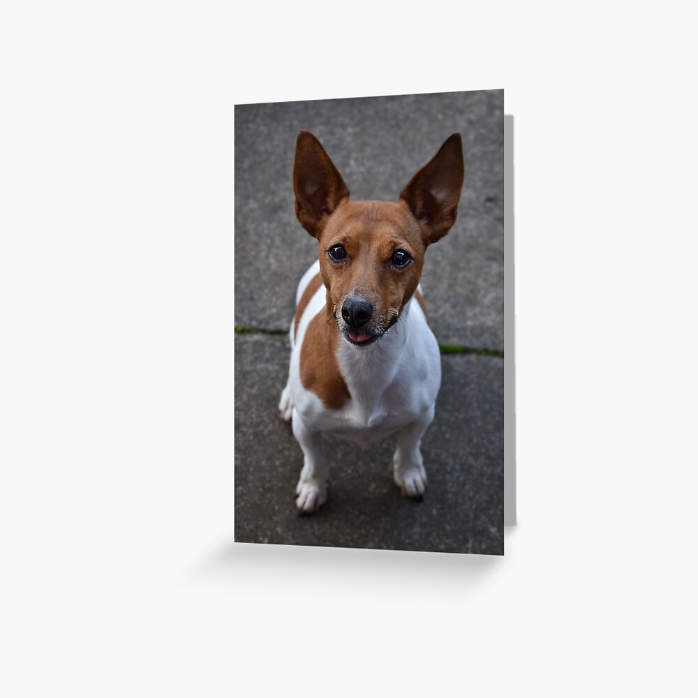 Item preview, Greeting Card designed and sold by Armstrong-photo.
