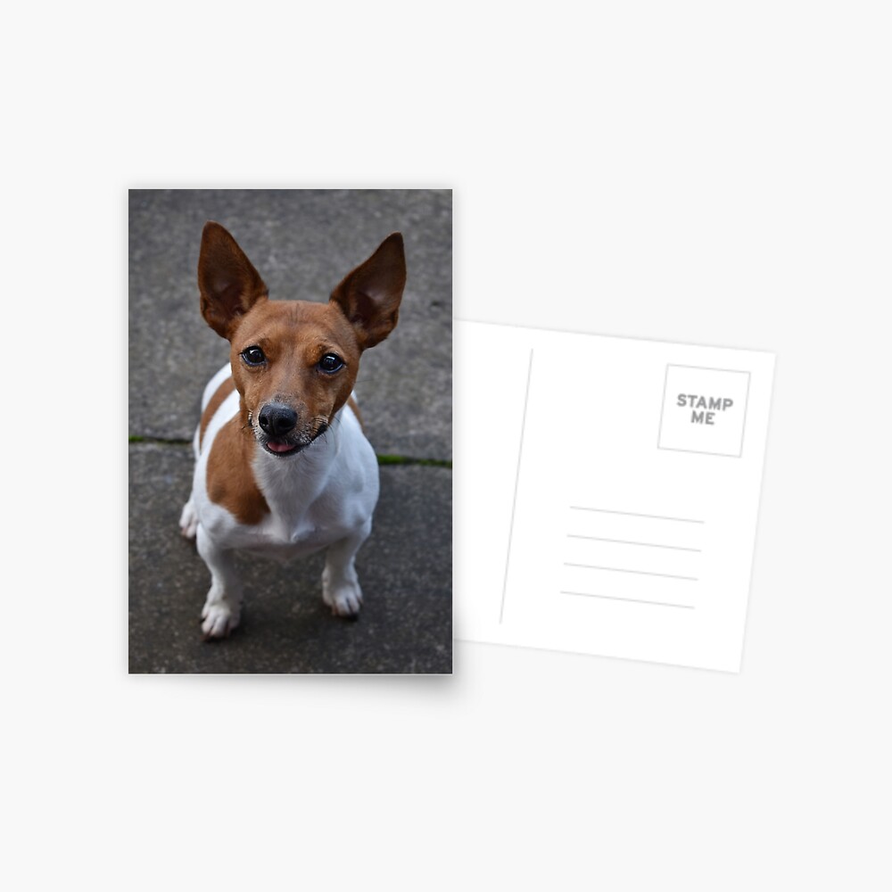 Item preview, Postcard designed and sold by Armstrong-photo.