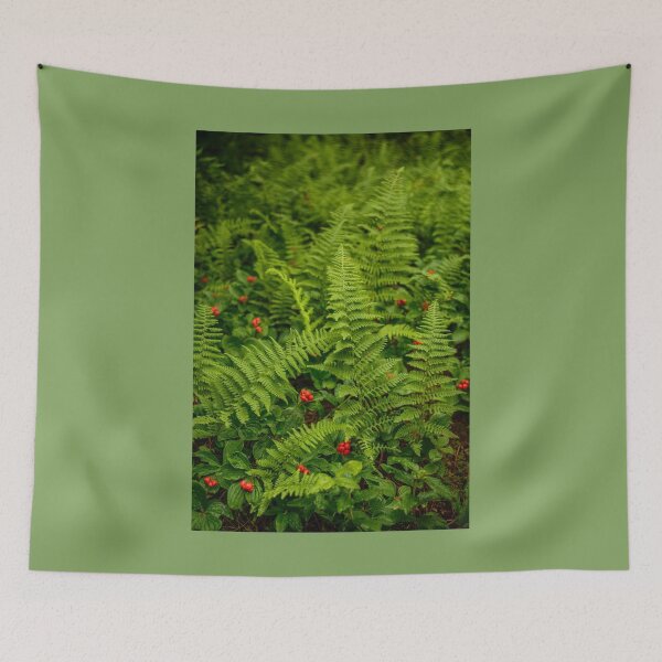 Item preview, Ferns and Berries designed and sold by Alanafinephoto.