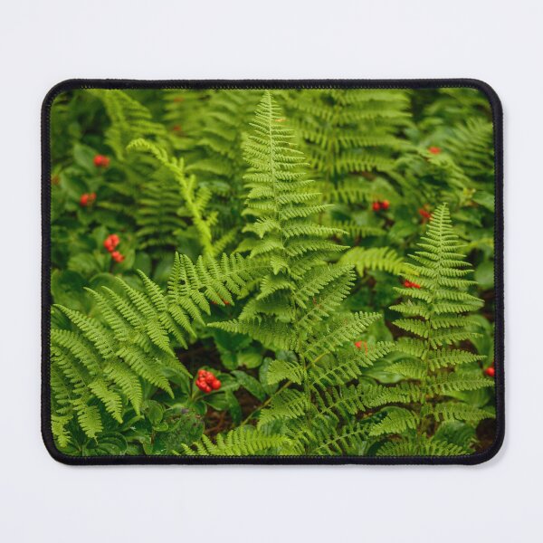 Item preview, Ferns and Berries designed and sold by Alanafinephoto.