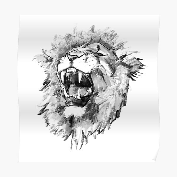 Sketch color vector lion head Stock Vector Image  Art  Alamy