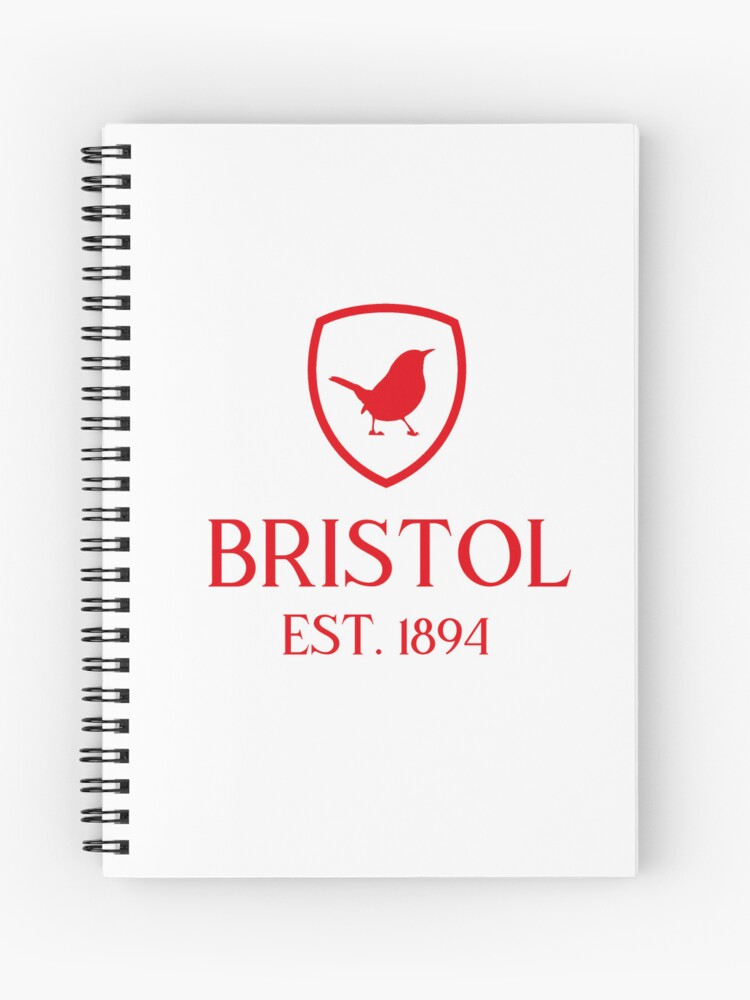 500 Series Bristol Board