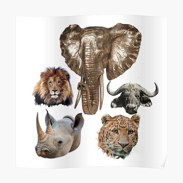 Big Five Animals Posters for Sale | Redbubble