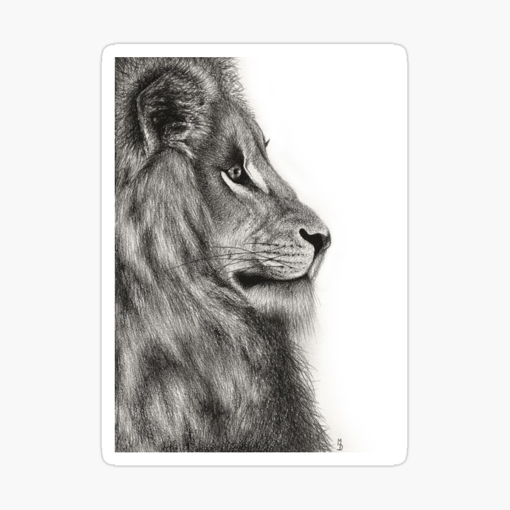 The Lion (SOLD)- Hyper Realistic Pencil (130hrs) Art Print | lupon.gov.ph