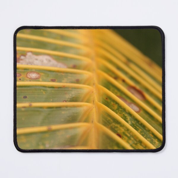 Item preview, The Lone Palm designed and sold by Kate Harrison.