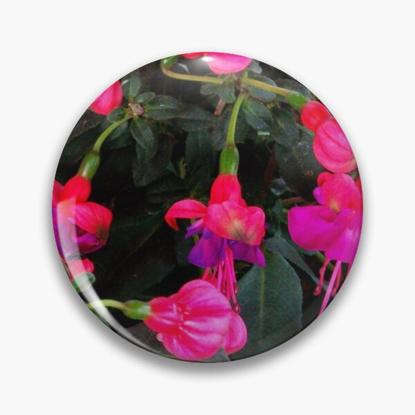 Item preview, Fuchsias designed and sold by Suzukihotaru.