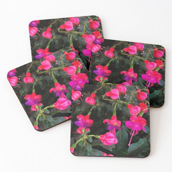 Item preview, Fuchsias designed and sold by Suzukihotaru.