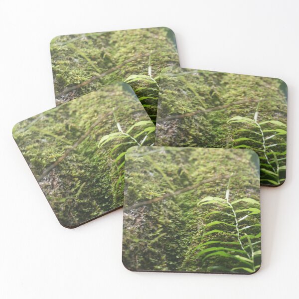 Item preview, Creeping Fern designed and sold by Kate Harrison.