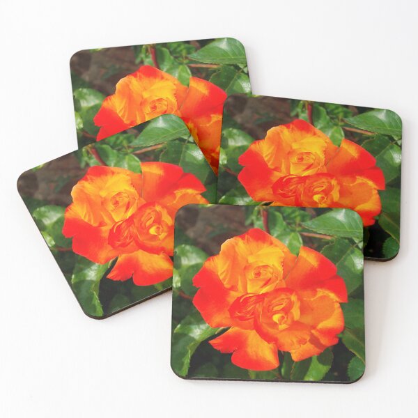 Item preview, Orange rose designed and sold by Suzukihotaru.
