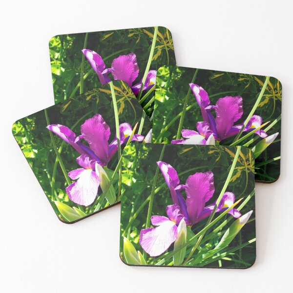 Item preview, Iris morado designed and sold by Suzukihotaru.
