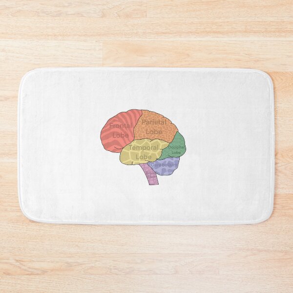 Item preview, Brain Lobes designed and sold by WilmingtonOT.