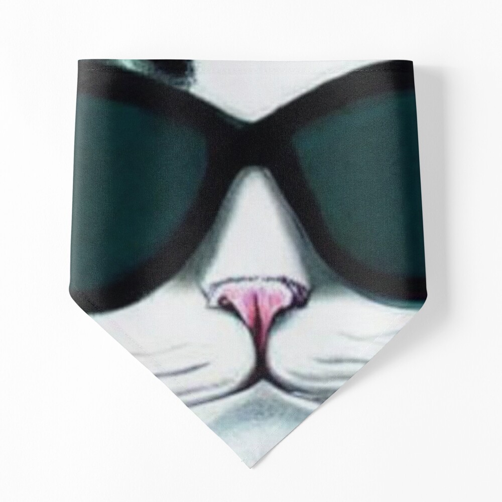 https://ih1.redbubble.net/image.4756162574.9014/ur,pet_bandana_small_flatlay_srp,square,1000x1000.jpg