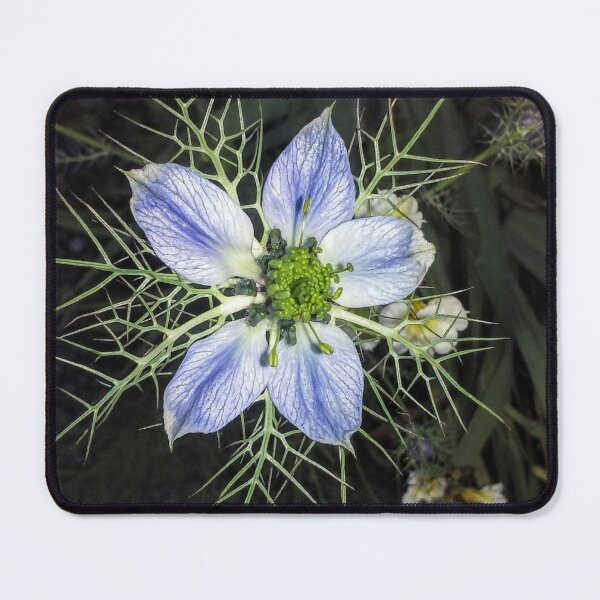 Item preview, Beautiful Blue Flower spazZz Photography  designed and sold by PPPimp.