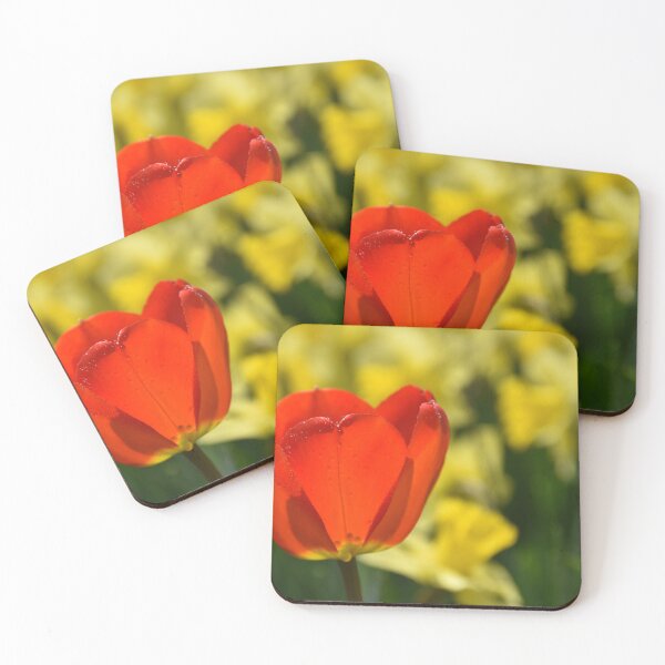 Item preview, A tulip in spring designed and sold by Claude Laprise.