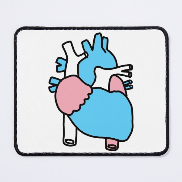 Item preview, Transgender Flag anatomical heart designed and sold by marnilauren.