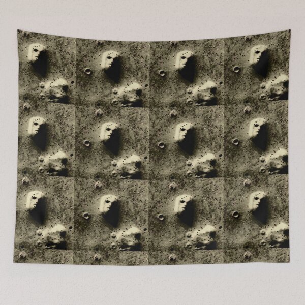 Item preview, Face On Mars designed and sold by amanda150771.