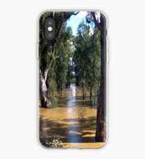 Flooded Plains iPhone Case