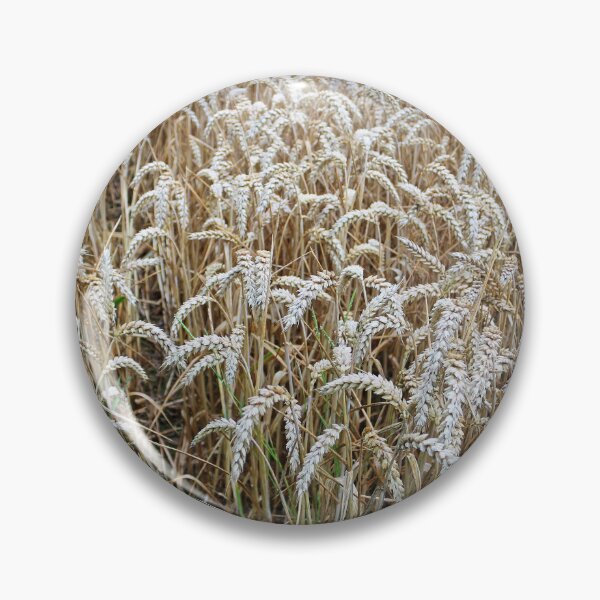 Item preview, Wheat Field designed and sold by pinkal.