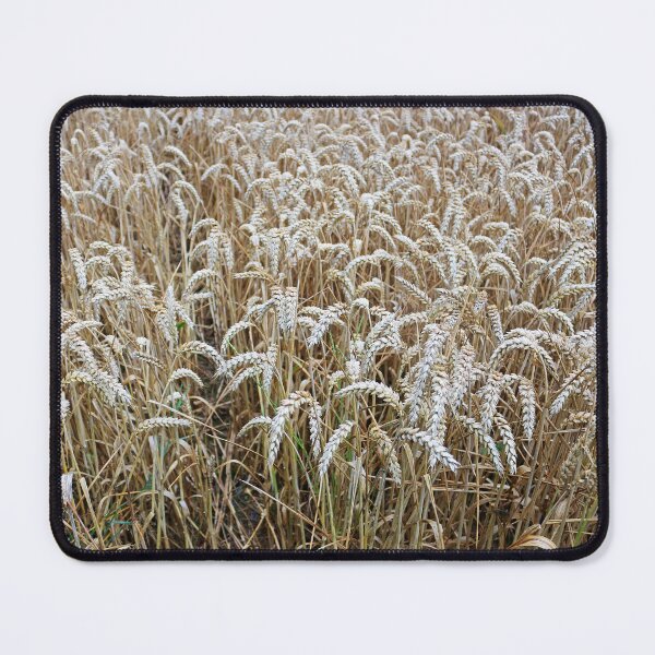 Item preview, Wheat Field designed and sold by pinkal.