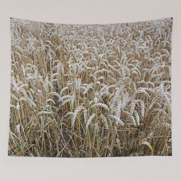 Item preview, Wheat Field designed and sold by pinkal.