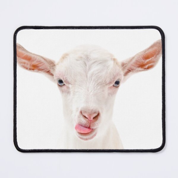 Item preview, Dutch white goat designed and sold by MilicaaD.