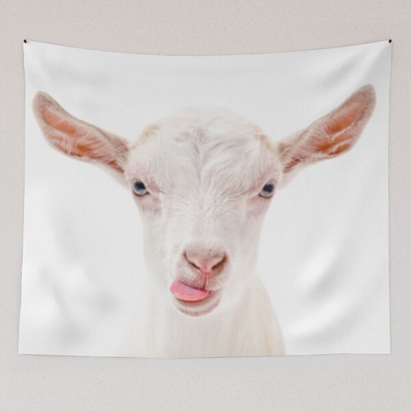 Item preview, Dutch white goat designed and sold by MilicaaD.
