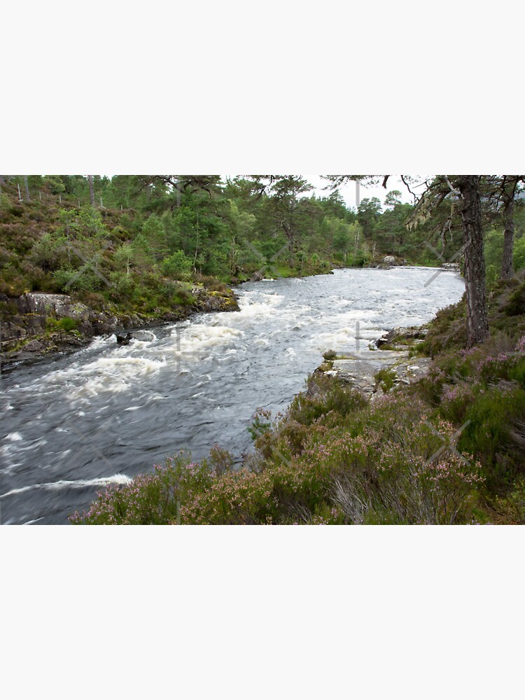 Thumbnail 3 of 3, Sticker, River flowing through Caledonian Pine Forest designed and sold by SiobhanFraser.